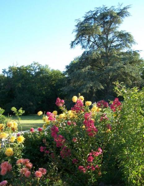 Chateau Des Bouffards Brinon-sur-Sauldre エクステリア 写真